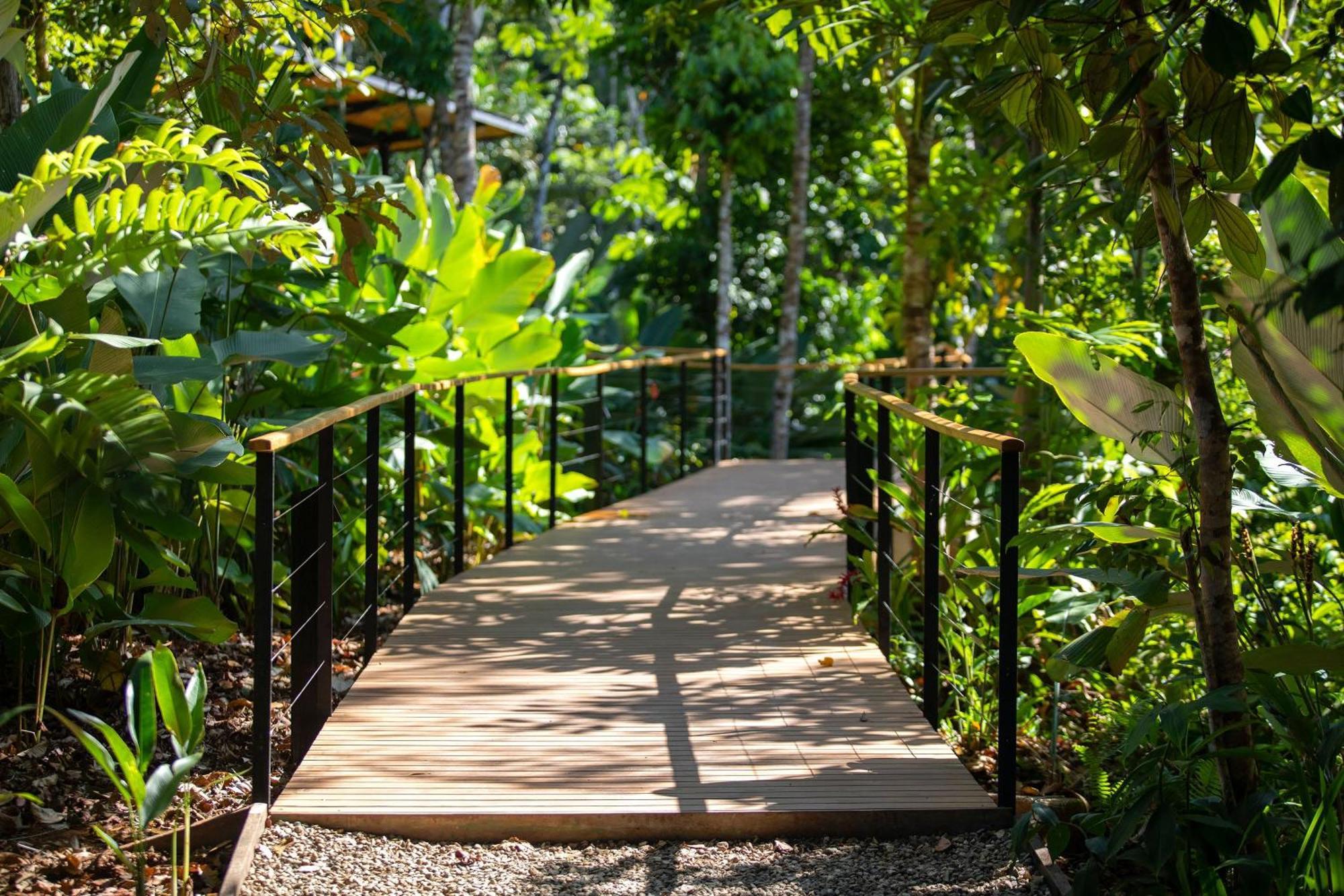 El Remanso Rainforest Lodge Puerto Jiménez 외부 사진