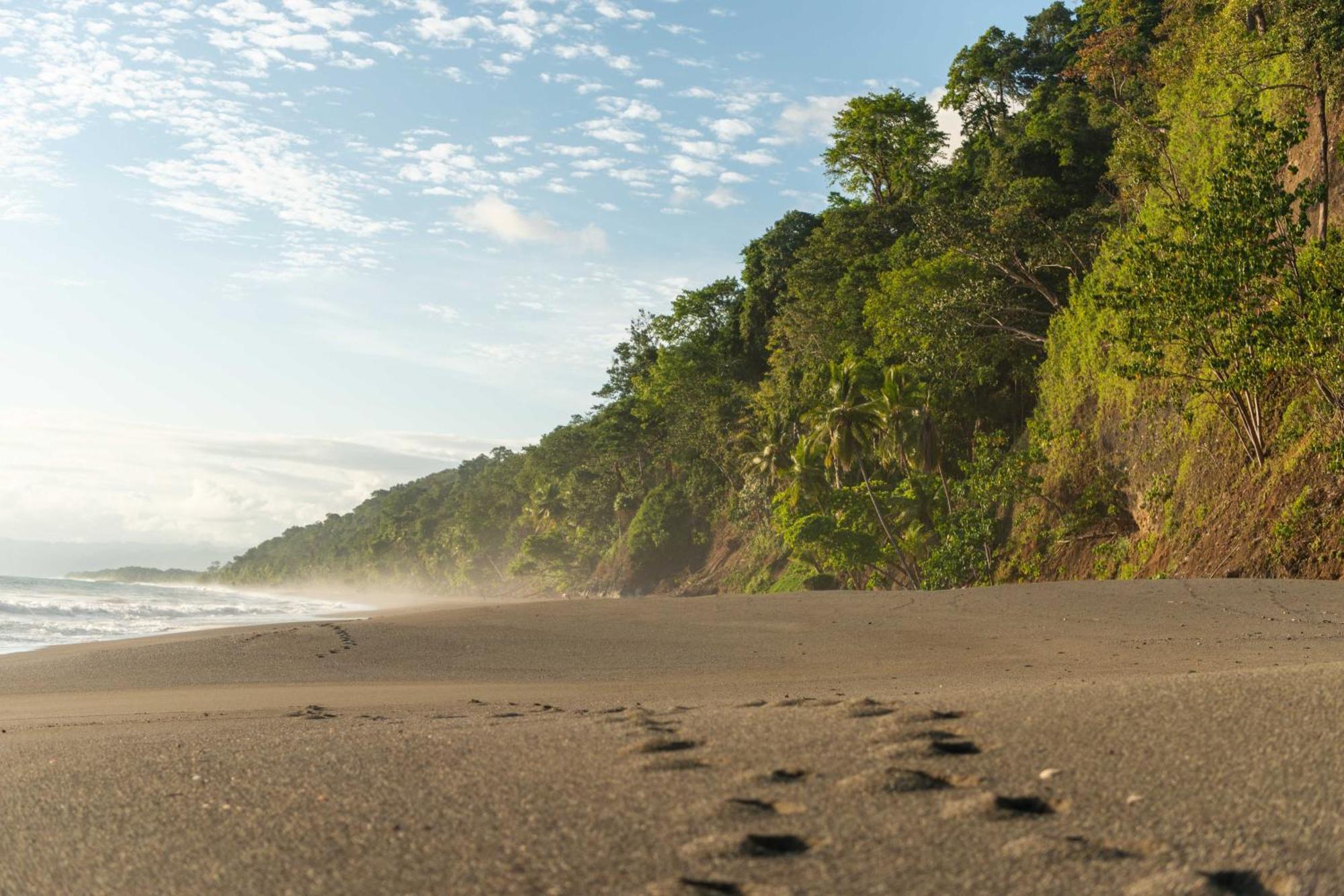 El Remanso Rainforest Lodge Puerto Jiménez 외부 사진