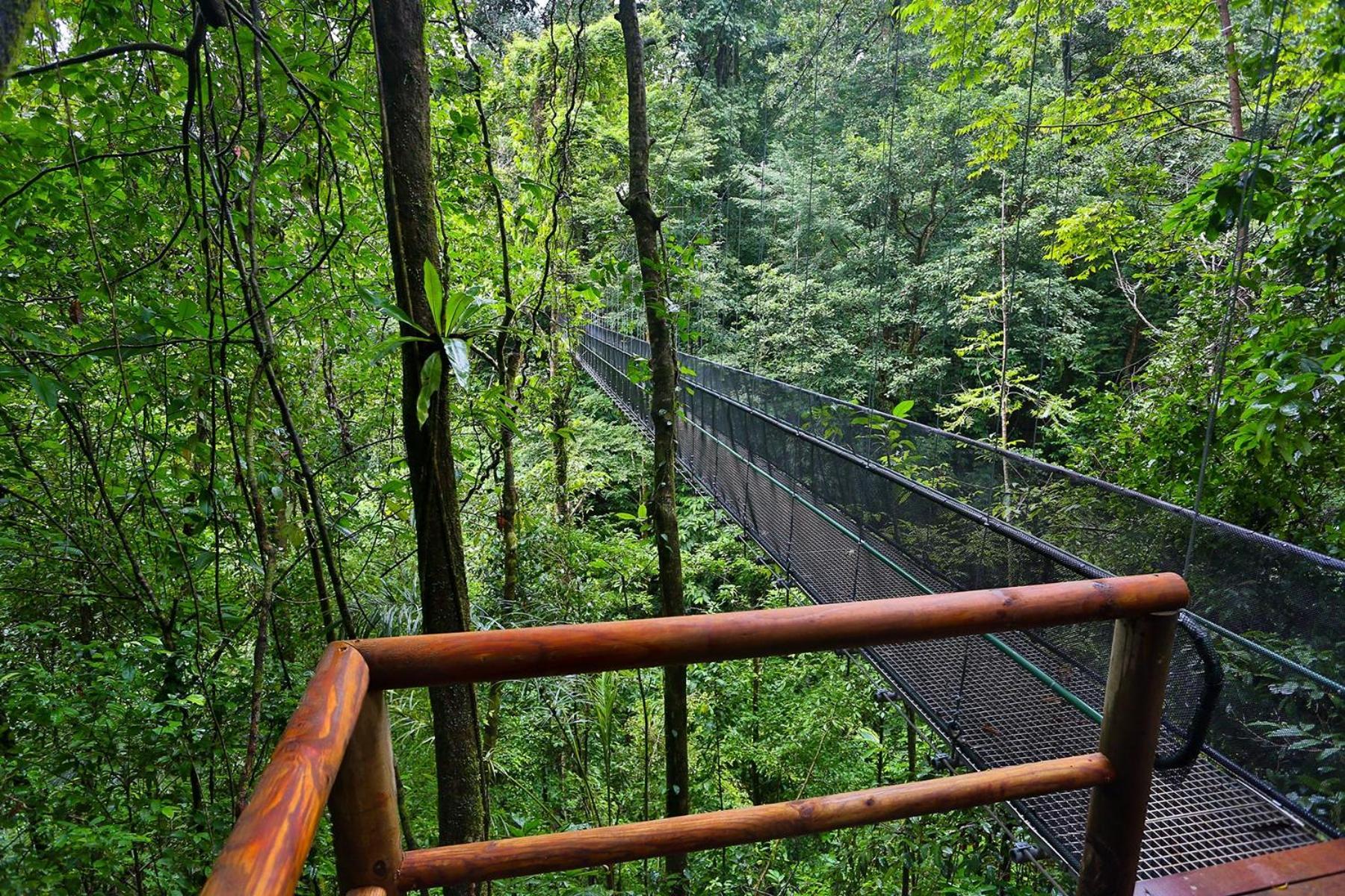 El Remanso Rainforest Lodge Puerto Jiménez 외부 사진