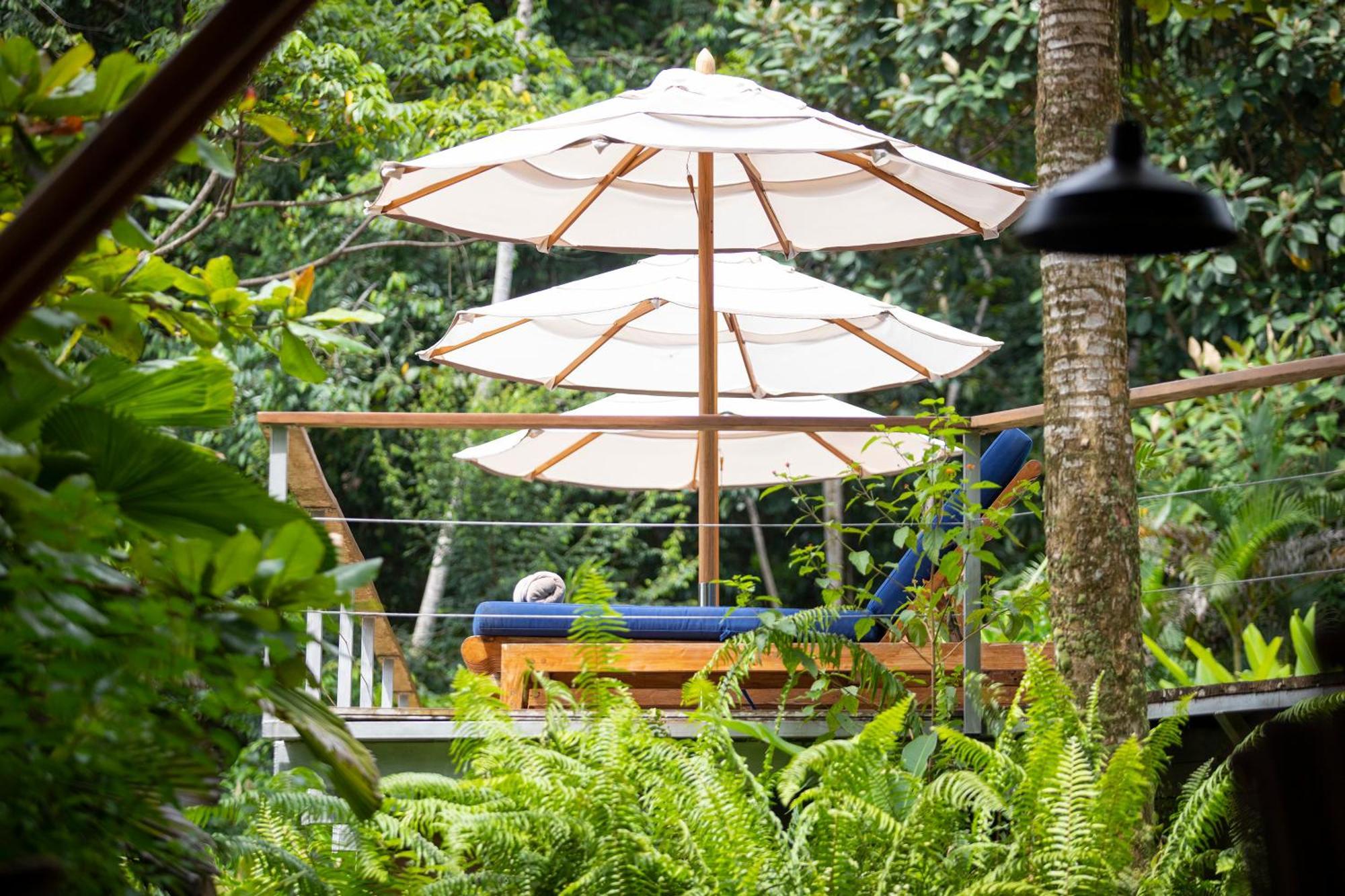 El Remanso Rainforest Lodge Puerto Jiménez 외부 사진