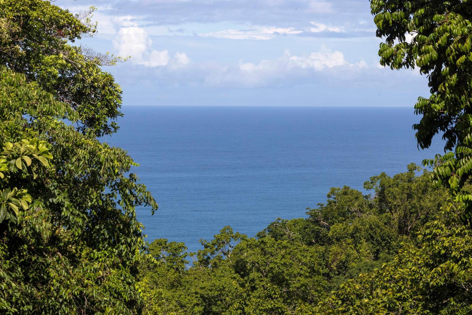 El Remanso Rainforest Lodge Puerto Jiménez 외부 사진